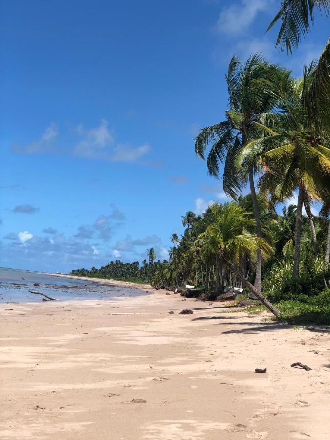 Le Petit Suites Praia De Lages Pôrto de Pedras Eksteriør billede
