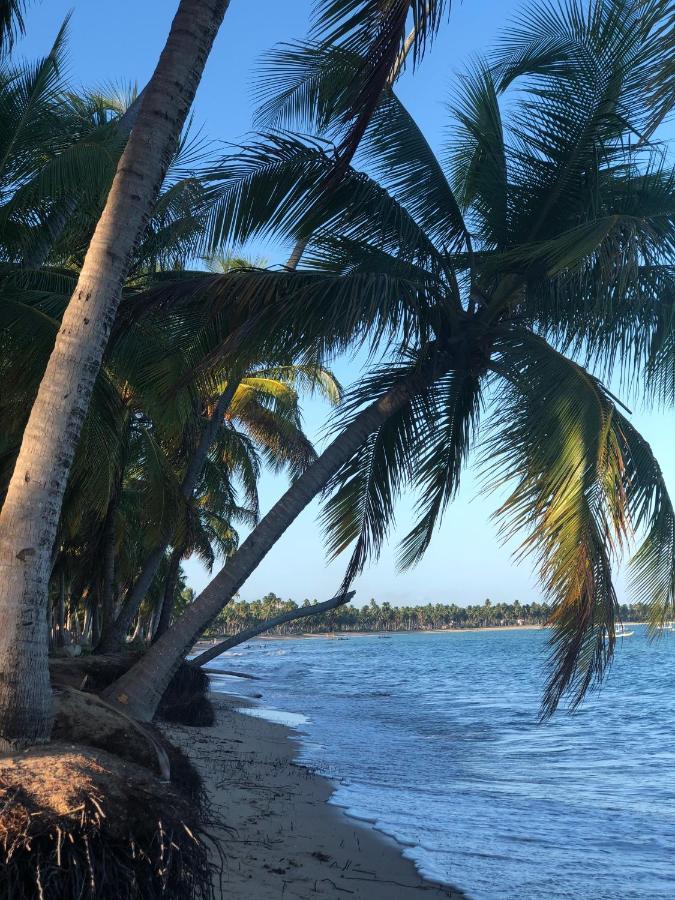 Le Petit Suites Praia De Lages Pôrto de Pedras Eksteriør billede